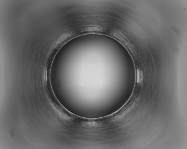 X0000113010253200908271415