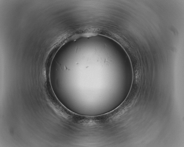 X0000113010254200908271415