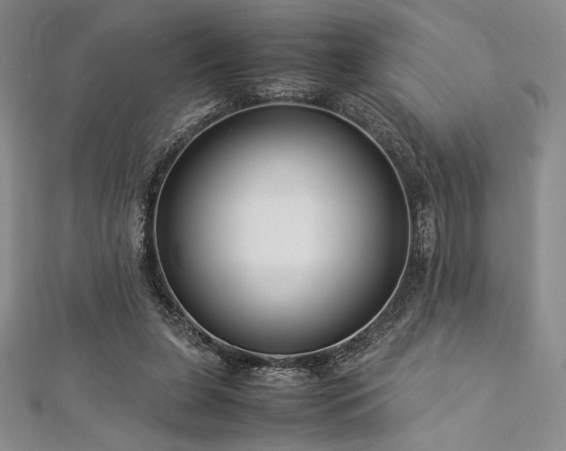 X0000113010255200908271415