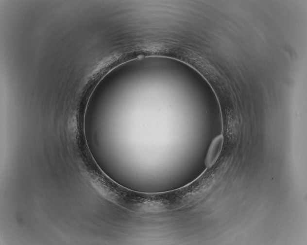 X0000113010256200908271415