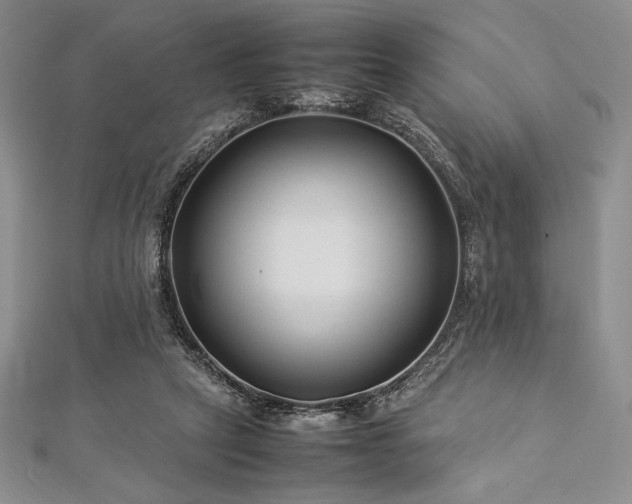 X0000113010257200908271415