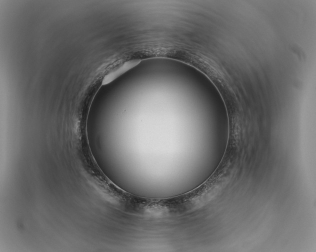 X0000113010258200908271415