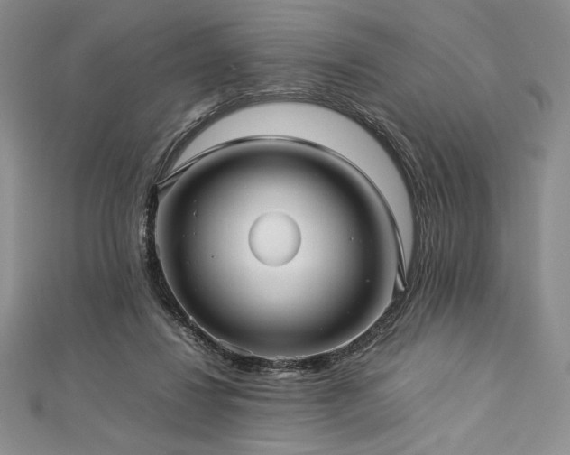 X0000113010260200908271415