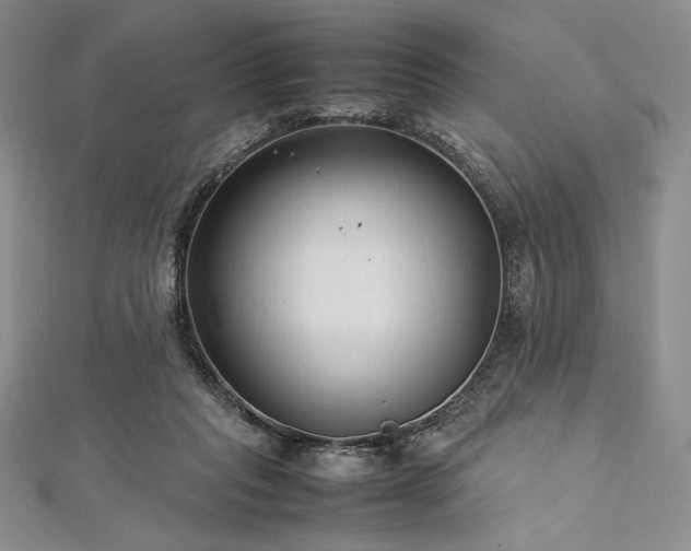 X0000113010261200908271415