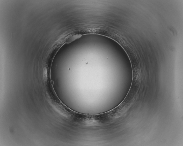 X0000113010262200908271415