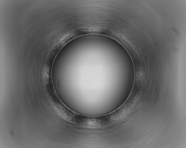 X0000113010264200908271415