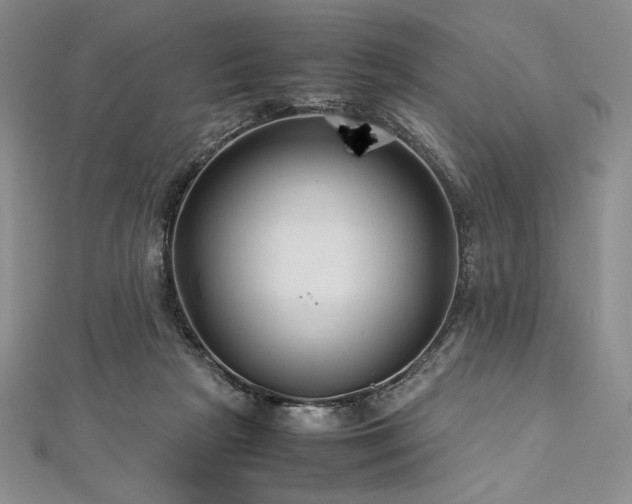 X0000113010265200908271415