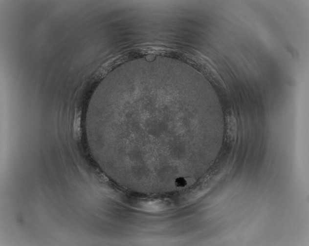 X0000113010267200908271415