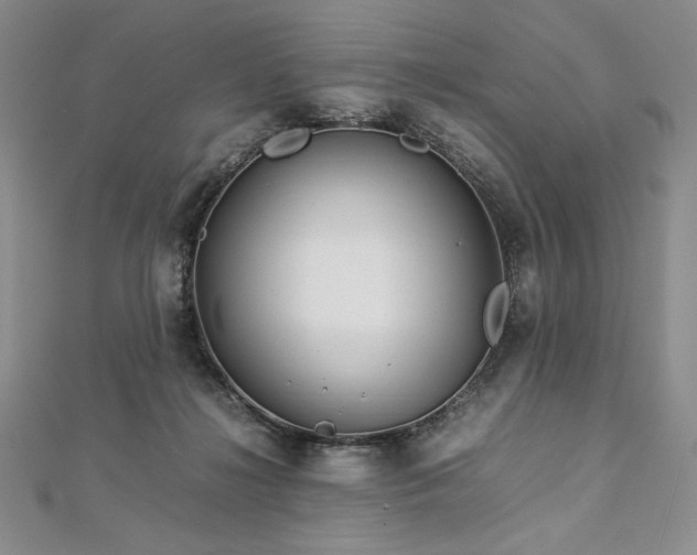 X0000113010268200908271415