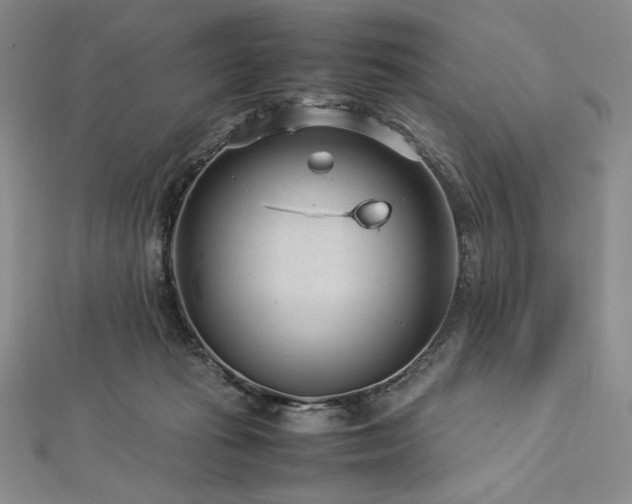 X0000113010269200908271415