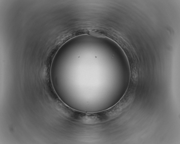 X0000113010270200908271415