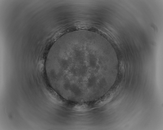 X0000113010271200908271415