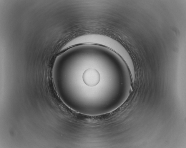 X0000113010272200908271415