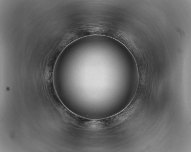 X0000113010273200908271415