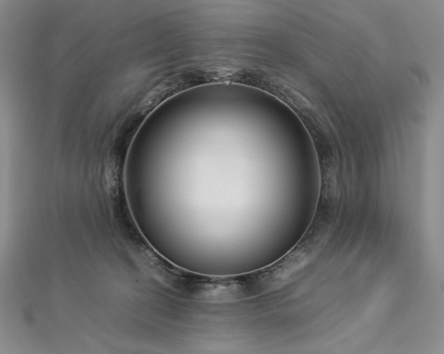 X0000113010274200908271415