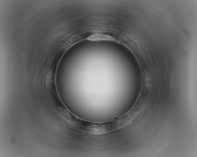 X0000113010275200908271415