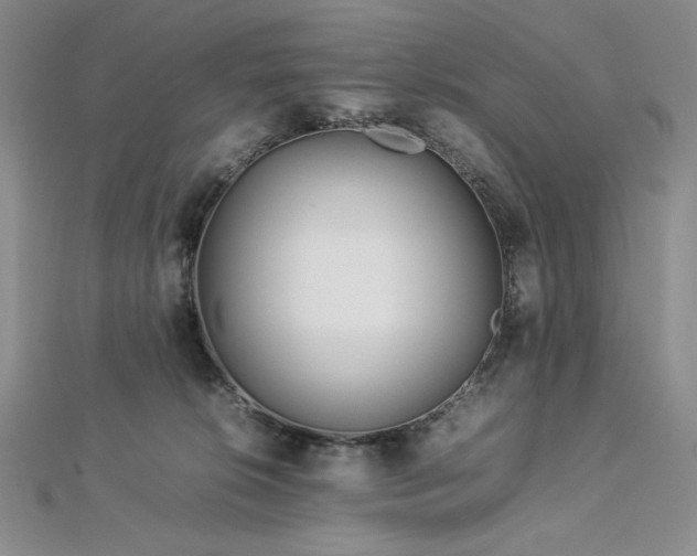 X0000113010276200908271415