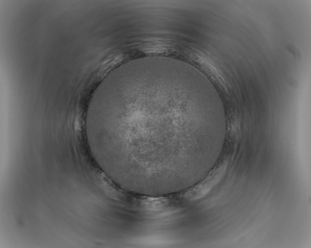 X0000113010277200908271415