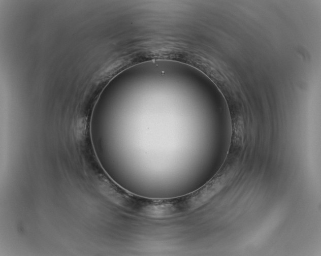 X0000113010278200908271415