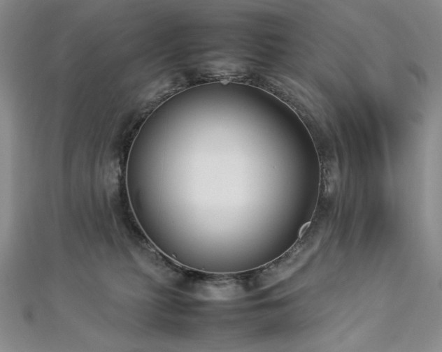 X0000113010279200908271415