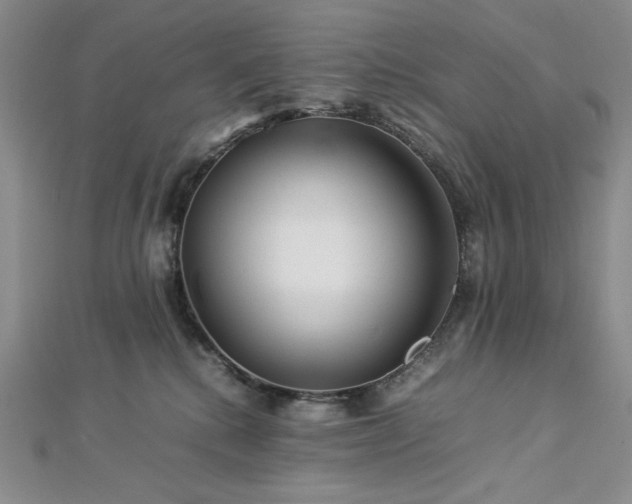 X0000113010280200908271415