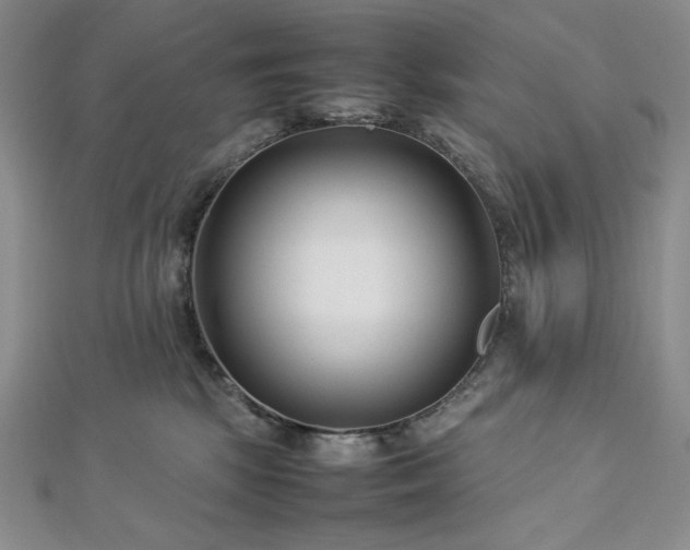 X0000113010281200908271415