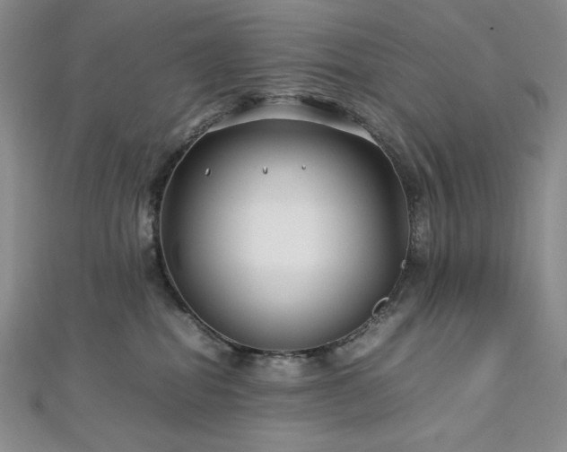 X0000113010282200908271415