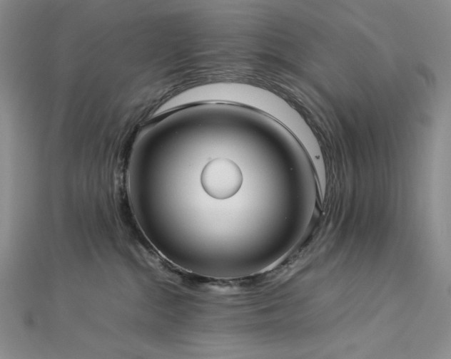 X0000113010284200908271415