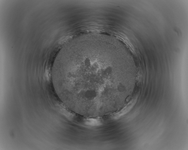 X0000113010285200908271415