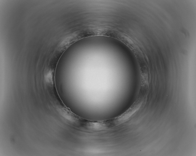 X0000113010286200908271416