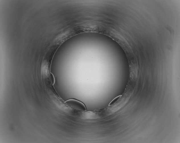 X0000113010287200908271416