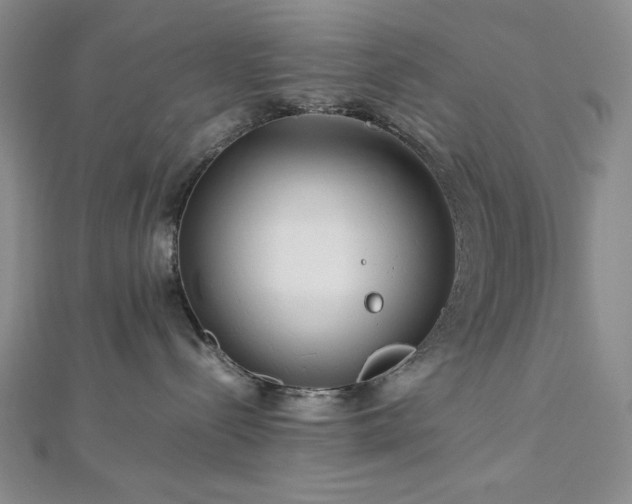 X0000113010288200908271416