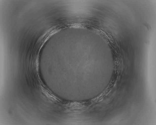 X0000113010290200908271415