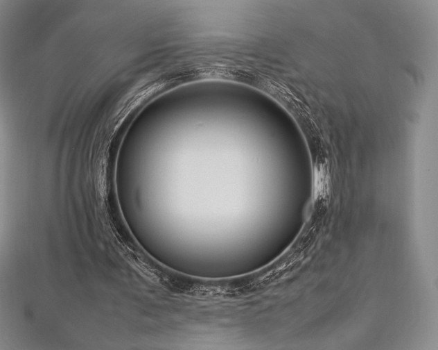 X0000113010291200908271415