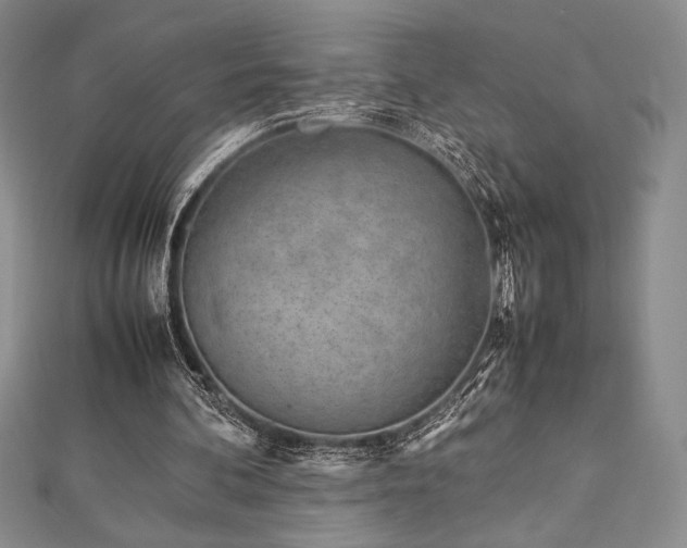 X0000113010292200908271415