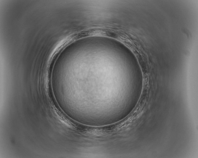 X0000113010293200908271415