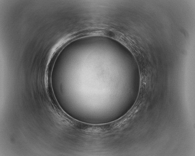 X0000113010294200908271415