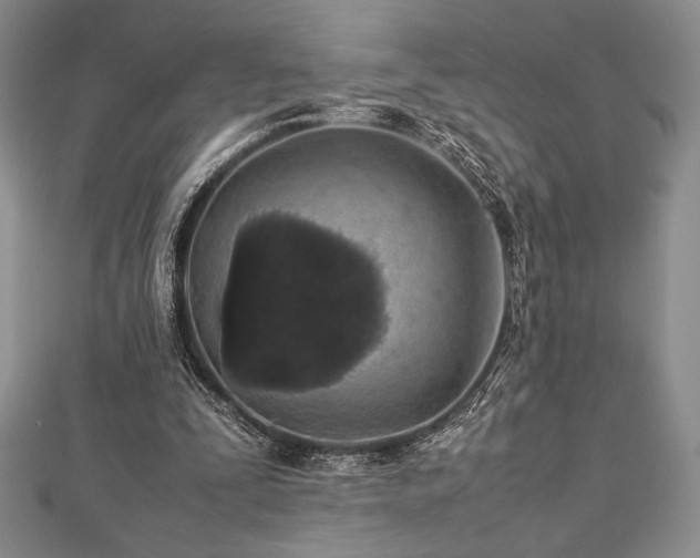 X0000113010295200908271415