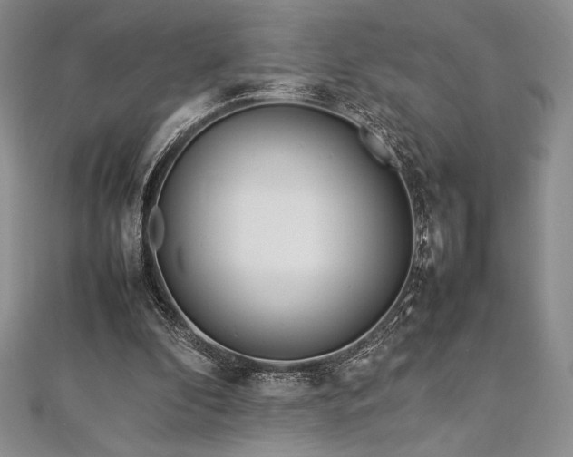 X0000113010296200908271415