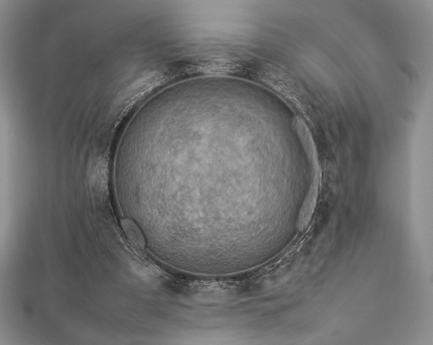 X0000113010297200908271415