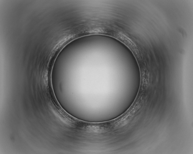 X0000113010298200908271415