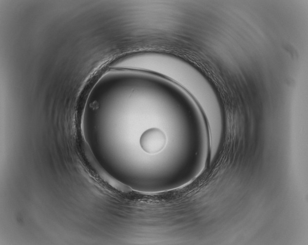 X0000113010300200908271415