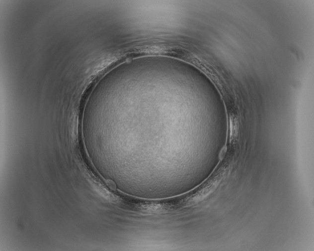 X0000113010301200908271415