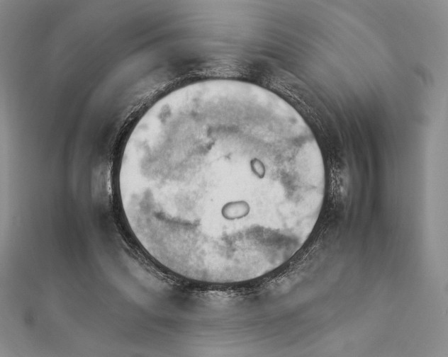 X0000113010302200908271415