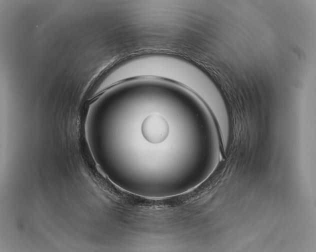 X0000113010304200908271415