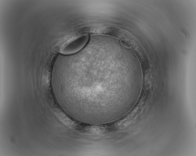 X0000113010305200908271415