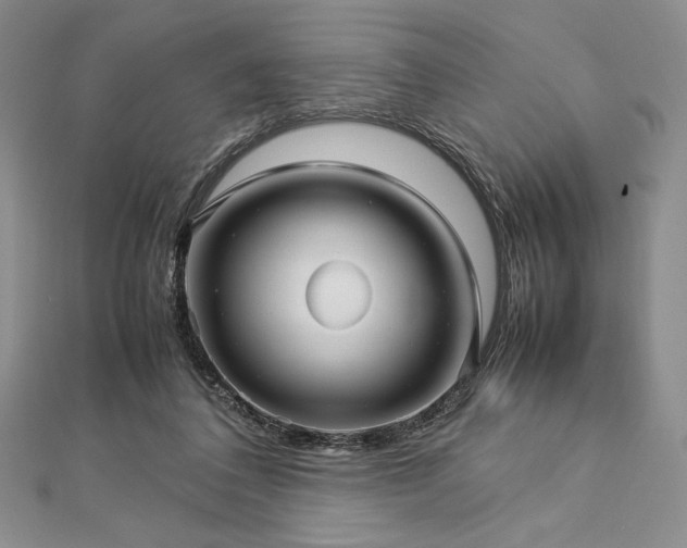 X0000113010308200908271415