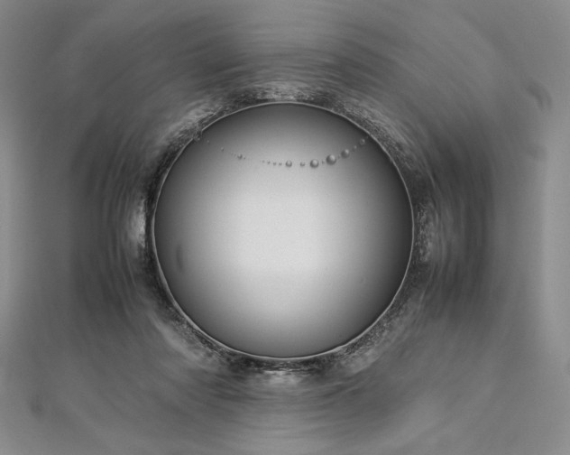 X0000113010310200908271415