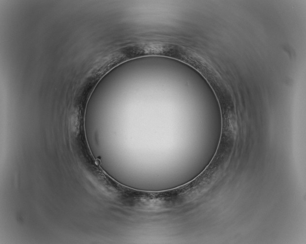 X0000113010311200908271415