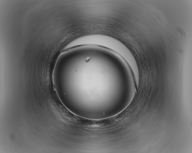 X0000113010312200908271415